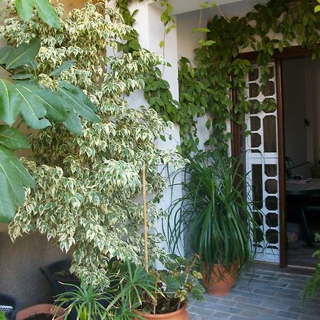 Jasmine'S Guest House カルロヴァシ 部屋 写真