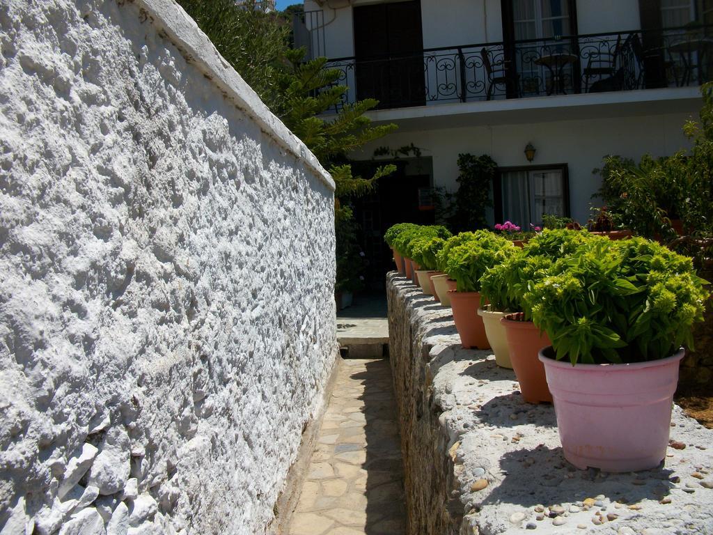 Jasmine'S Guest House カルロヴァシ 部屋 写真