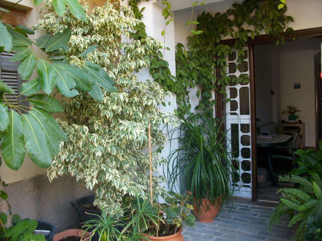 Jasmine'S Guest House カルロヴァシ 部屋 写真
